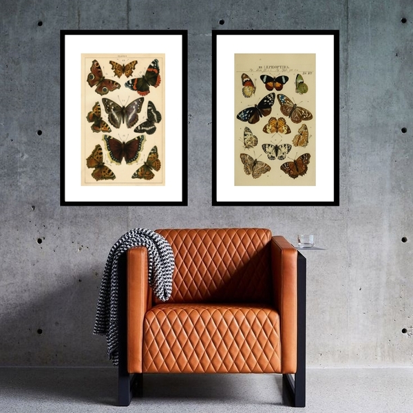 Kit 2 Quadros Borboletas Vintage - 60x48cm Moldura:madeira Br