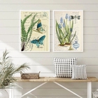 Kit 2 Quadros Botânica Vintage Borboletas Libélula 24x18cm -