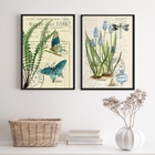 Kit 2 Quadros Botânica Vintage Borboletas Libélula 33x24cm -