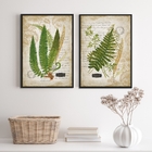 Kit 2 Quadros Botânica Vintage Folhas 33x24cm Moldura:madeira