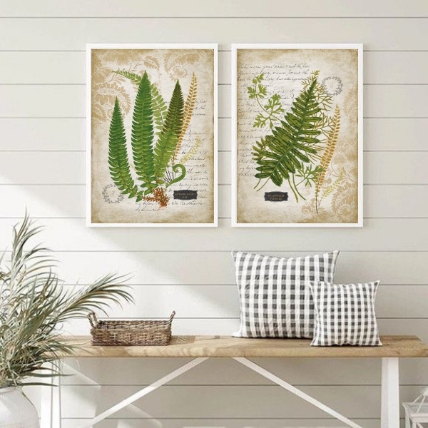 Kit 2 Quadros Botânica Vintage Folhas 45x34cm - Com Vidro Mol