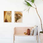 Kit 2 Quadros Candomblé Obaluaê 45x34cm Moldura:madeira Preta