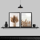 Kit 2 Quadros Capim Dos Pampas 33x24cm Moldura:madeira Branca