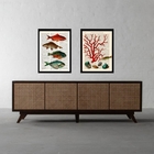 Kit 2 Quadros Casa De Praia- Peixes E Alga 24x18cm - Com Vidr