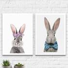 Kit 2 Quadros Casal De Coelhos 24x18cm - Com Vidro Moldura:ma