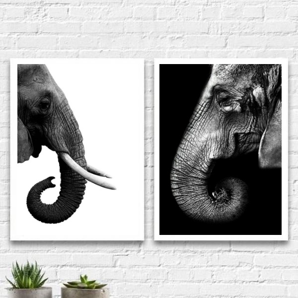 Kit 2 Quadros Casal Elefantes Preto E Branco 33x24cm - Com Vi