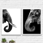 Kit 2 Quadros Casal Elefantes Preto E Branco 45x34cm Moldura: