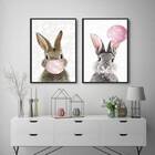 Kit 2 Quadros Coelhos Shine Rabbit 45x34cm - Com Vidro Moldur