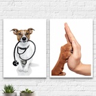 Kit 2 Quadros Consultório Veterinário 24x18cm - Com Vidro Mol