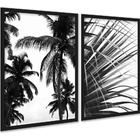 Kit 2 Quadros Coqueiro Planta Preto E Branco 24x18cm Moldura