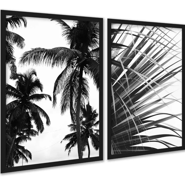 Kit 2 Quadros Coqueiro Planta Preto E Branco 33x24cm Moldura