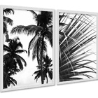 Kit 2 Quadros Coqueiro Planta Preto E Branco 45x34cm Moldura
