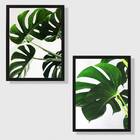 Kit 2 Quadros Costela De Adão 24x18cm Moldura:madeira Preta