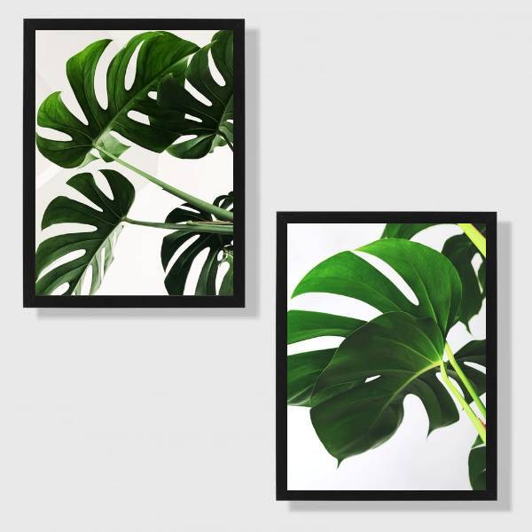 Kit 2 Quadros Costela De Adão 24x18cm Moldura:madeira Preta