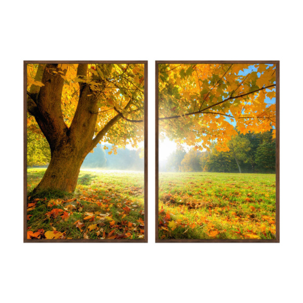 Kit 2 Quadros Decorativos 40x60cm Vidro  Arvore Com Folhas Am