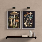 Kit 2 Quadros Decorativos Cogumelos 33x24cm Moldura:madeira B