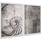 Kit 2 Quadros Decorativos Fibonacci Conchas Cinzas 24x18cm -