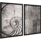 Kit 2 Quadros Decorativos Fibonacci Conchas Cinzas 24x18cm Mo