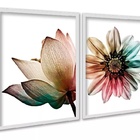 Kit 2 Quadros Decorativos Floral Colorido Arco Iris 45x34cm -