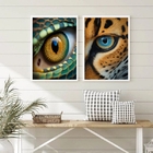 Kit 2 Quadros Decorativos Fotografias Olhos De Animais 33x24c