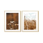 Kit 2 Quadros Decorativos Paisagem Natural Trigo Margarida