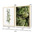 Kit 2 Quadros Decorativos Plantas Folhagens Cozinha Sala