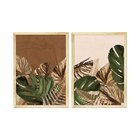 Kit 2 Quadros Decorativos Plantas Folhagens Sala Cozinha