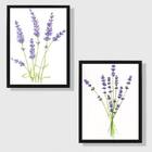 Kit 2 Quadros Decorativos Ramos Lavanda A4 (20 X 30)