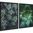 Kit 2 Quadros Decorativos Suculentas 33x24cm Moldura Preta