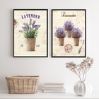 Kit 2 Quadros Decorativos Vasinhos De Lavanda 33x24cm Moldura