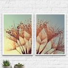 Kit 2 Quadros Dente De Leão Orvalho 24x18cm - Com Vidro Moldu