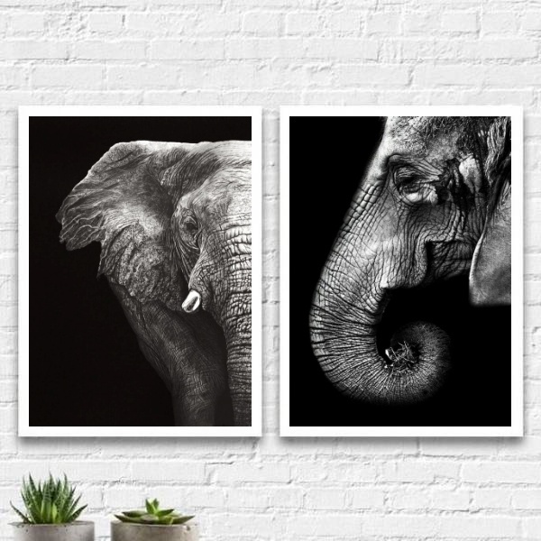 Kit 2 Quadros Elefantes Preto E Cinza 24x18cm - Com Vidro Mol
