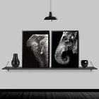Kit 2 Quadros Elefantes Preto E Cinza 33x24cm Moldura:madeira