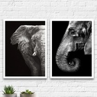 Kit 2 Quadros Elefantes Preto E Cinza 45x34cm - Com Vidro Mol