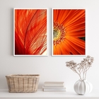 Kit 2 Quadros Flor E Folha Modernos Laranjas 33x24cm Moldura: