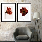 Kit 2 Quadros Flores Avermelhadas - 60x48cm Moldura:madeira P