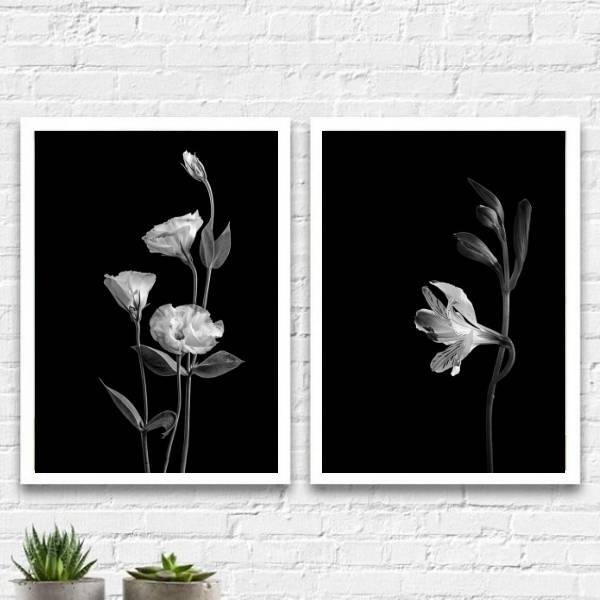 Kit 2 Quadros Flores Branco E Preto 45x34cm Moldura:madeira B