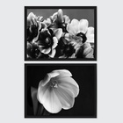 Kit 2 Quadros Flores Horizontais Peb 45x34cm - Com Vidro Mold