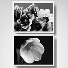 Kit 2 Quadros Flores Horizontais Peb 45x34cm - Com Vidro Mold