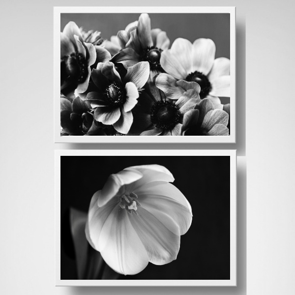 Kit 2 Quadros Flores Horizontais Peb 45x34cm - Com Vidro Mold