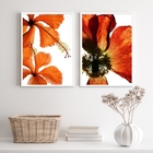 Kit 2 Quadros Flores Modernas Alaranjadas 24x18cm - Com Vidro