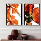 Kit 2 Quadros Flores Modernas Alaranjadas 45x34cm - Com Vidro