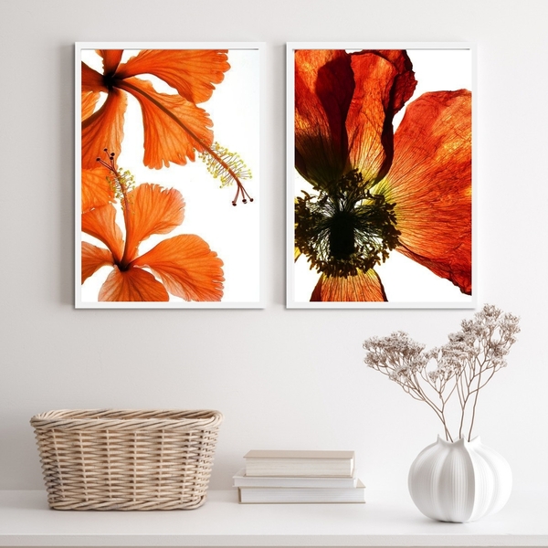 Kit 2 Quadros Flores Modernas Alaranjadas 45x34cm - Com Vidro
