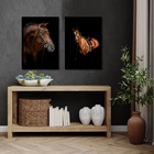 Kit 2 Quadros Fotografia Cavalos 45x34cm - Com Vidro Moldura: