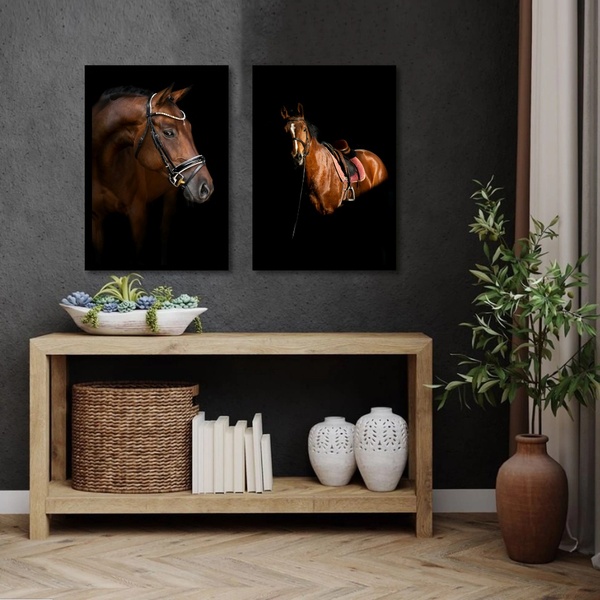 Kit 2 Quadros Fotografia Cavalos 45x34cm - Com Vidro Moldura: