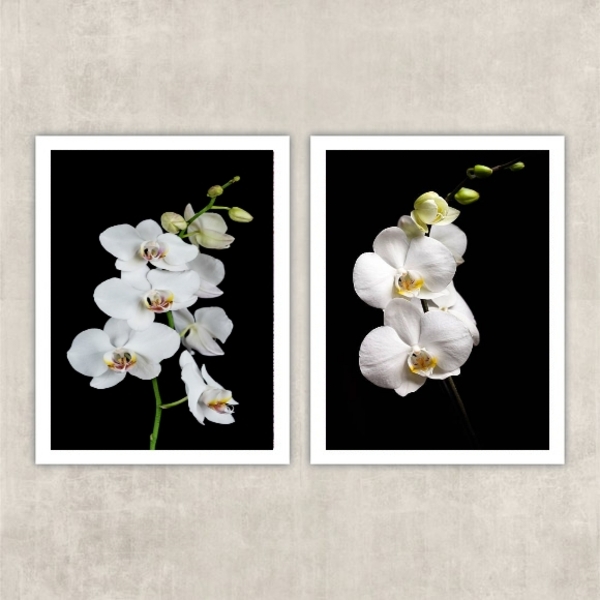Kit 2 Quadros Fotografia Orquídeas Brancas 33x24cm - Com Vidr