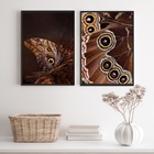 Kit 2 Quadros Fotografias Borboletas- Asas 24x18cm Moldura:ma