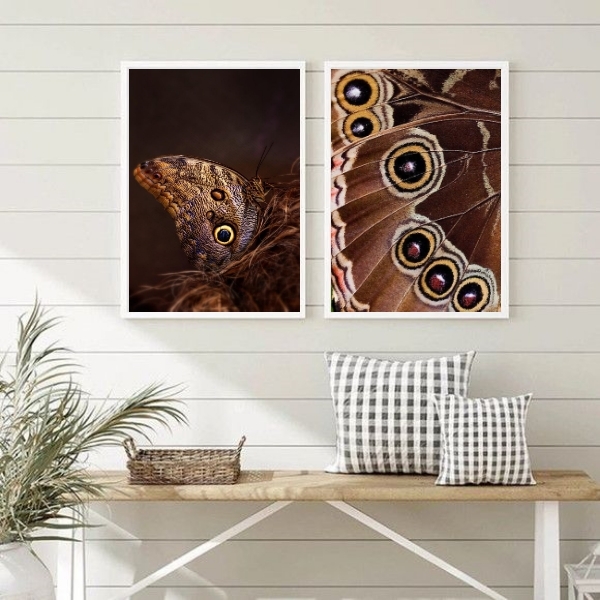 Kit 2 Quadros Fotografias Borboletas- Asas 24x18cm Moldura:ma