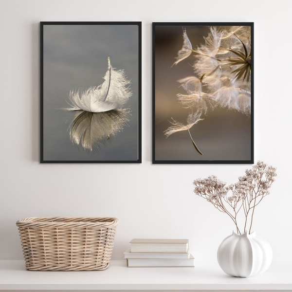 Kit 2 Quadros Fotografias Pena E Dente De Leão 45x34cm Moldur