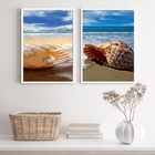 Kit 2 Quadros Fotografias Praia Mar conchas 33x24cm - Com Vid